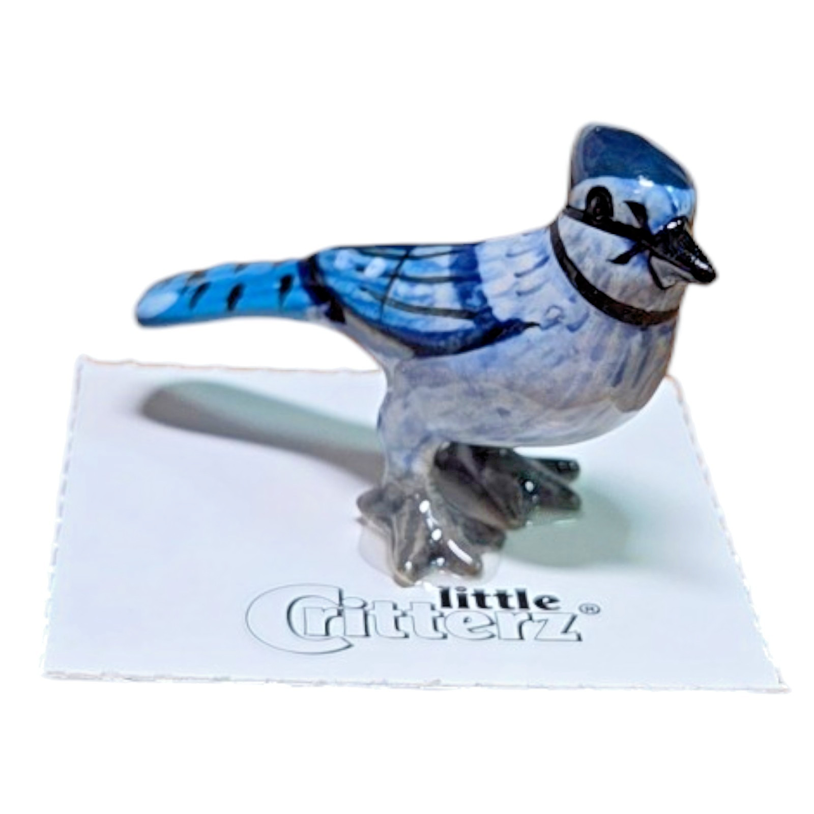 LITTLE CRITTERZ Bird Blue Jay "Mischief" Miniature Figurine New  LC562