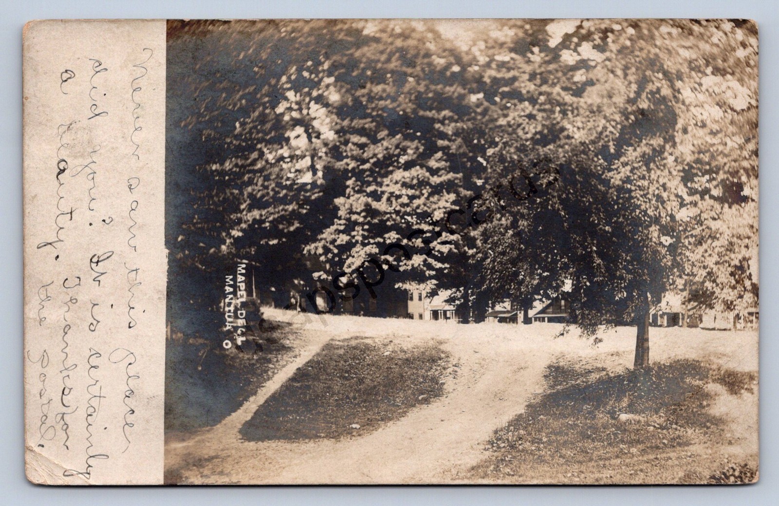 J87/ Mantua Ohio RPPC Postcard c1910 "Maple Dell" Park Portage Co 1488 J87/ Mantua Ohio RPPC Postcard c1910 "Maple Dell" Park Portage Co 1488