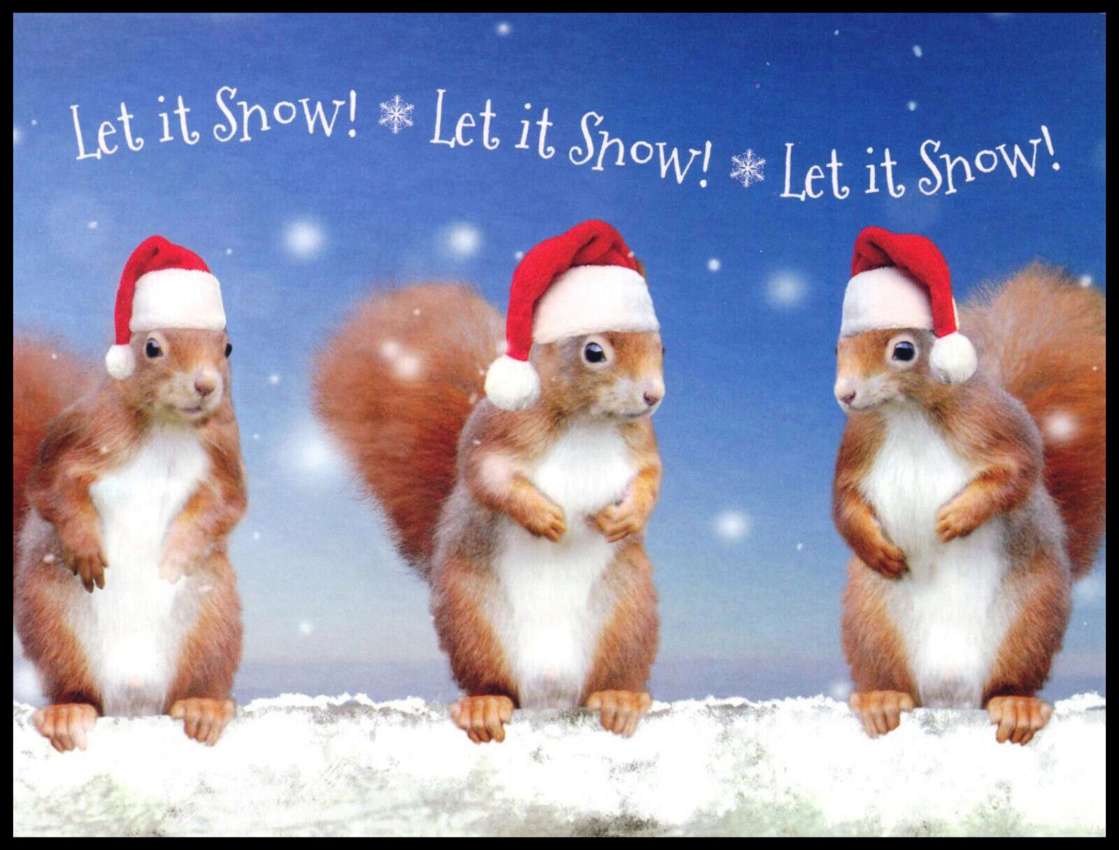 Greeting Card - Squirrel - Duncan Usher - Christmas 0435