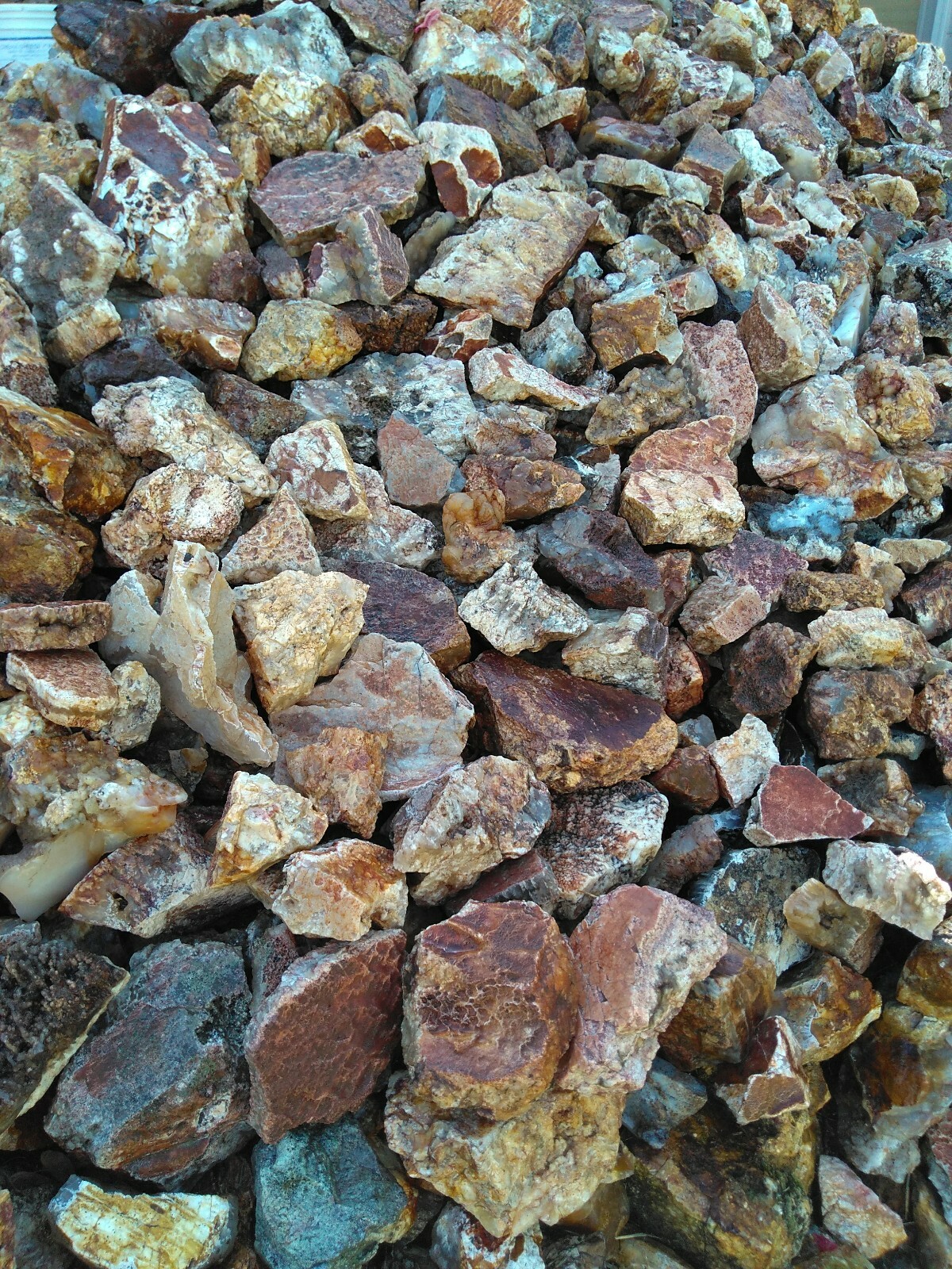 CLASSIC GRAVEYARD POINT PLUME MOSS AGATE CABBING SIZE ROUGH $5 PER LB 3LB LOTS