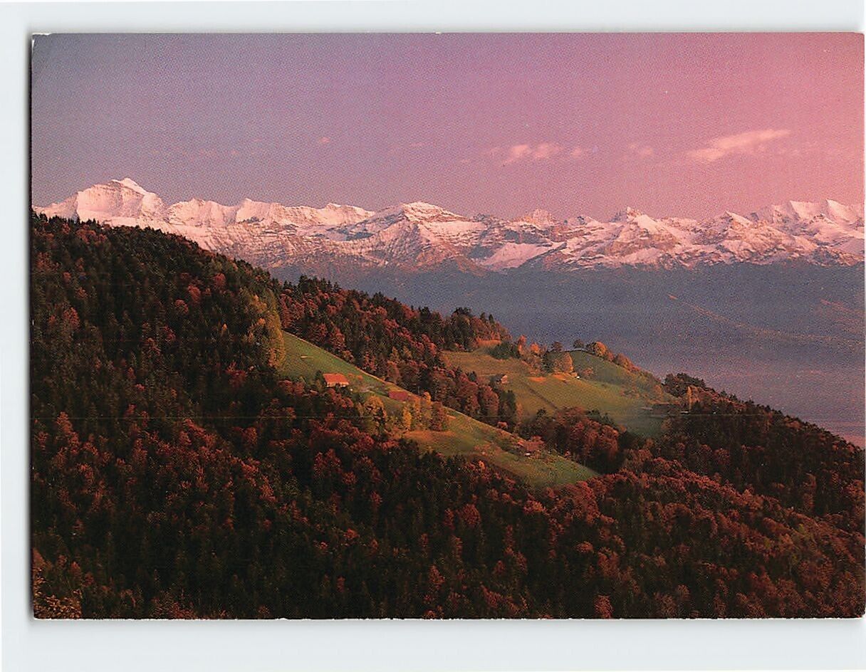 Postcard Mountain Trees Landscape Scenery