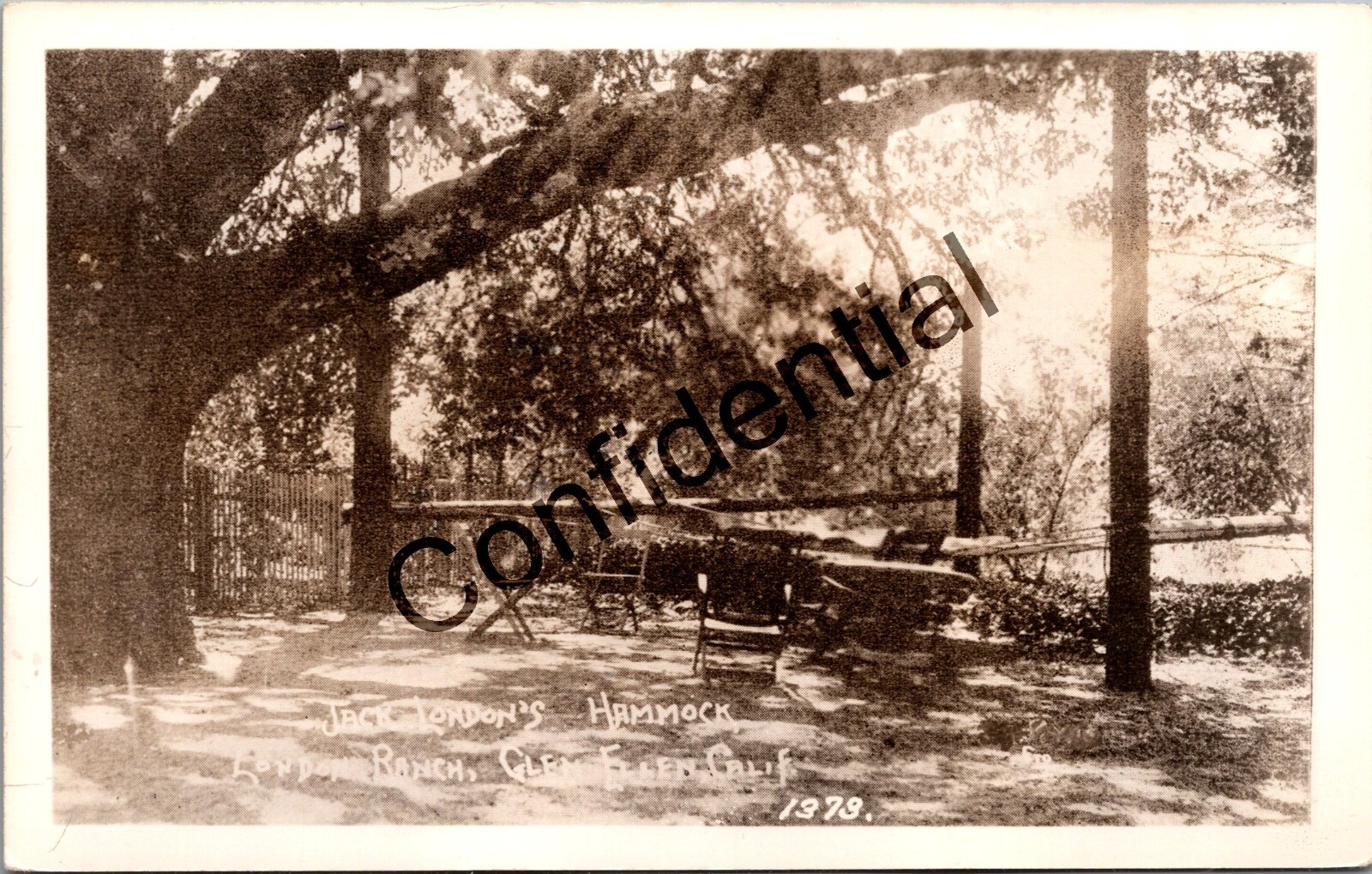 Real Photo Jack London's Hammock London Ranch Glen Ellen CA California RPPC N89 Real Photo Jack London's Hammock London Ranch Glen Ellen CA California RPPC N89