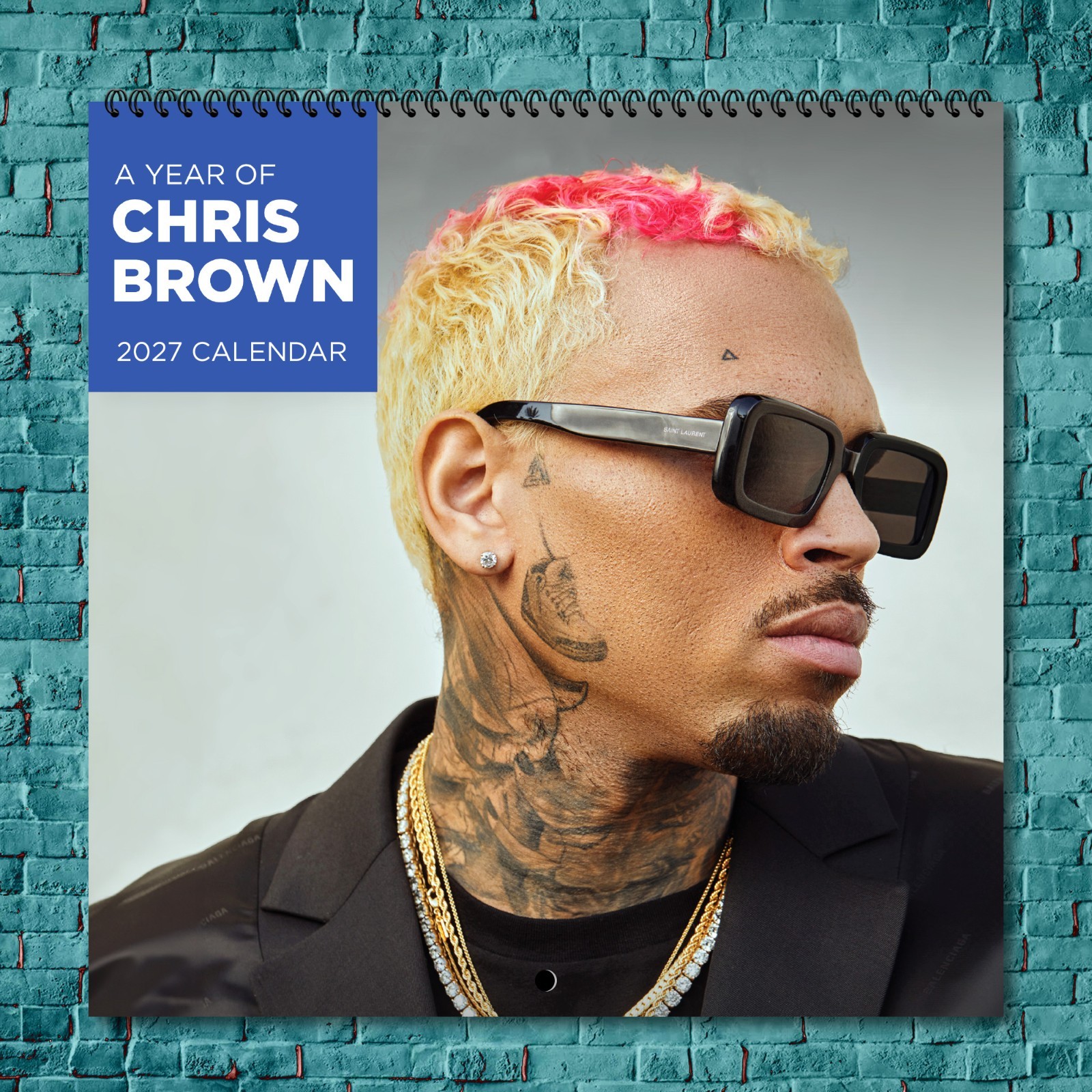 Chris Brown 2027 Wall Calendar 12 Month Celebrity Photo Fan Collectible Chris Brown 2027 Wall Calendar 12 Month Celebrity Photo Fan Collectible