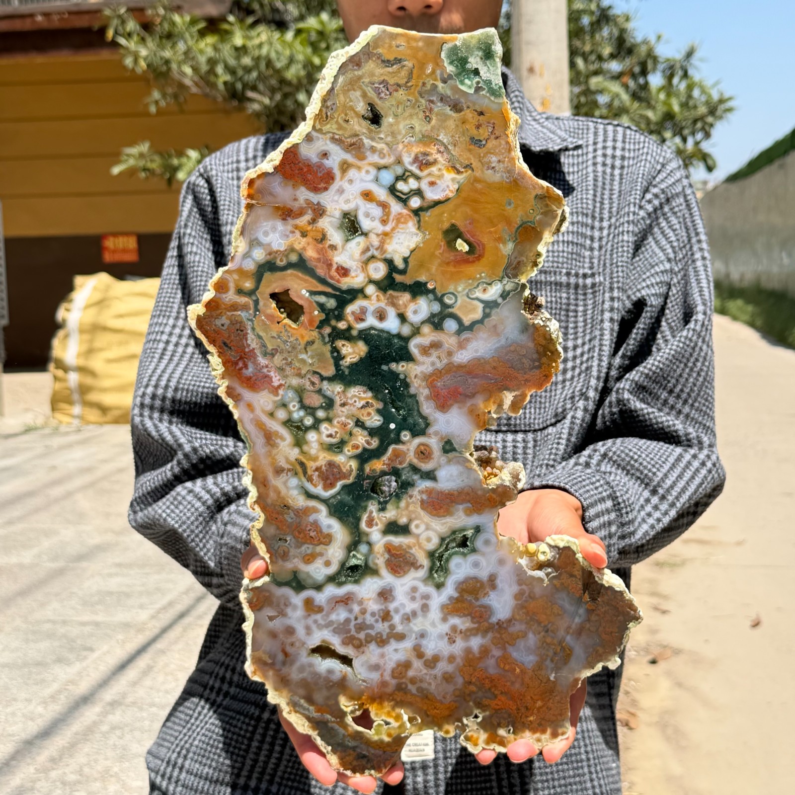 4.4LB Rare Natural The 8th Vein Ocean Jasper Slab Quartz Crystal Reiki Healing