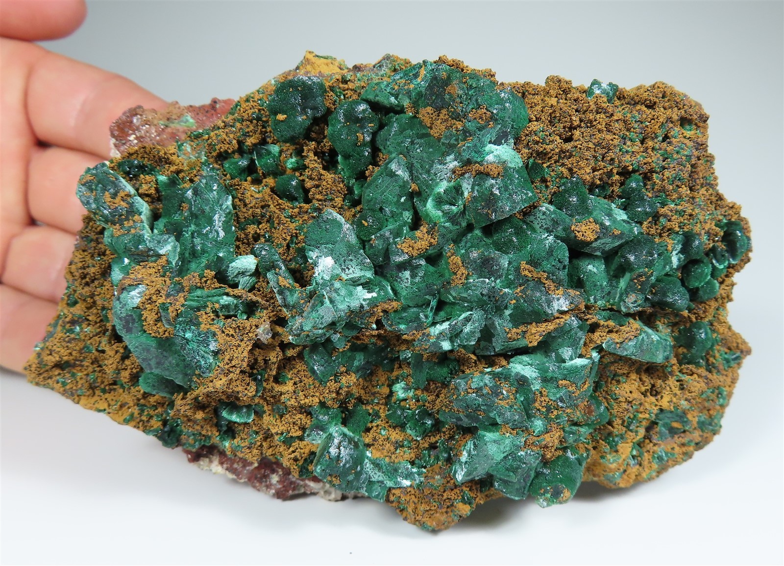 Malachite after AZURITE crystal with fibrous Malachite * Aouli, Morocco Malachite after AZURITE crystal with fibrous Malachite * Aouli, Morocco