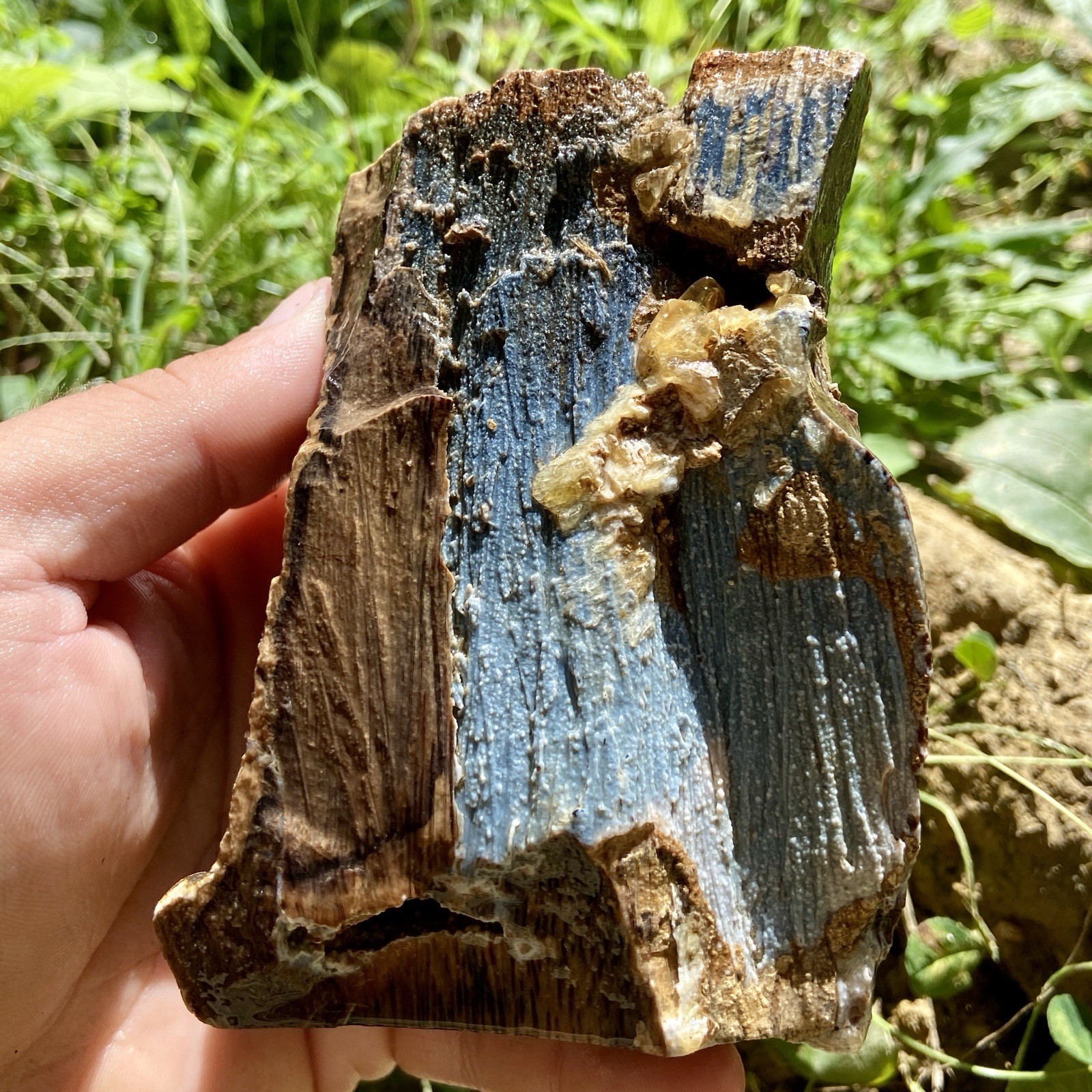1 Pound 7.73 Oz Blue Druzy UV Reactive Petrified Palm Wood Lapidary Rough 1 Pound 7.73 Oz Blue Druzy UV Reactive Petrified Palm Wood Lapidary Rough