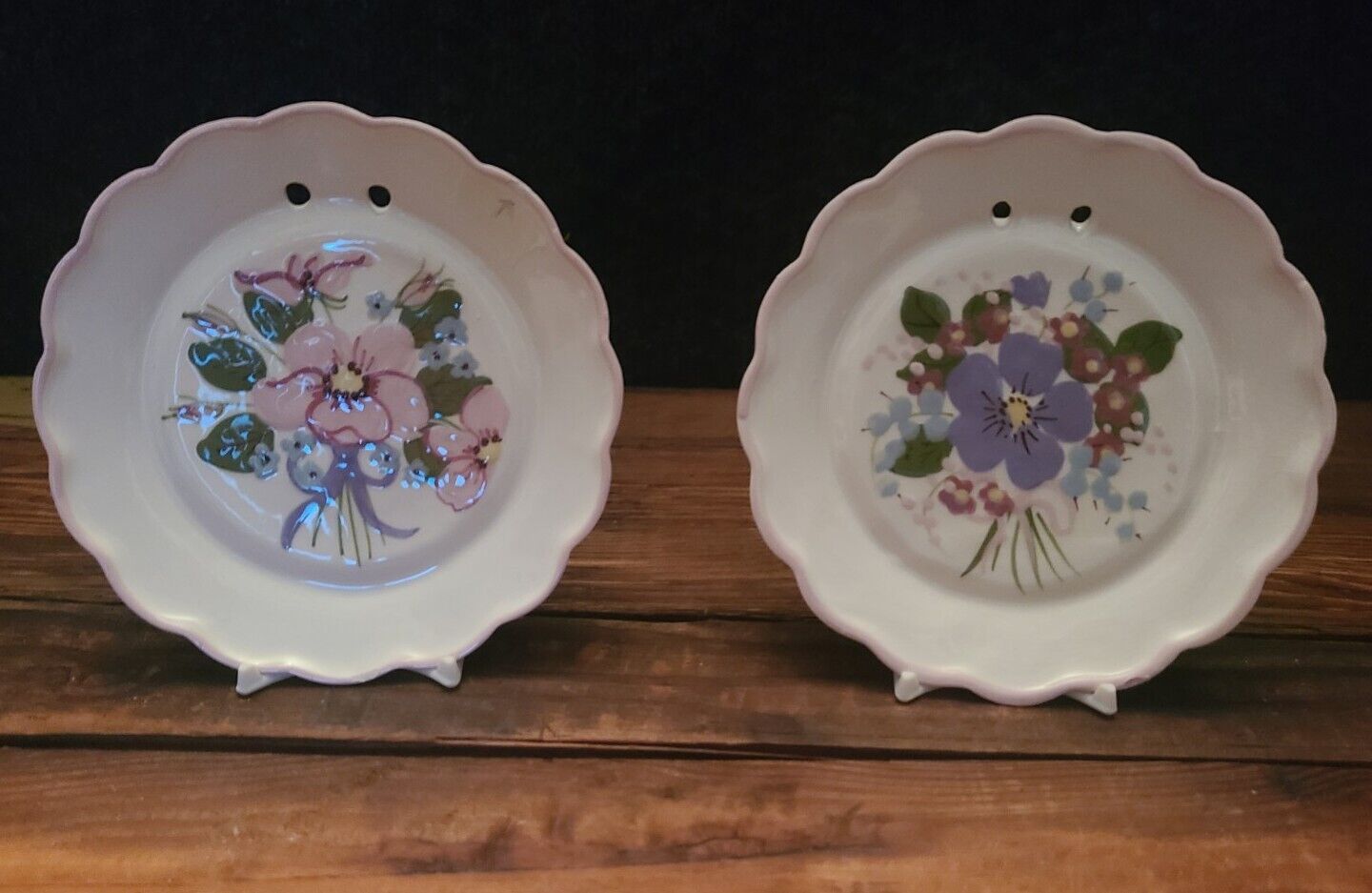 Set of 2 Vintage Cleminson 1950s Hand Painted Floral Wall Plates 5\