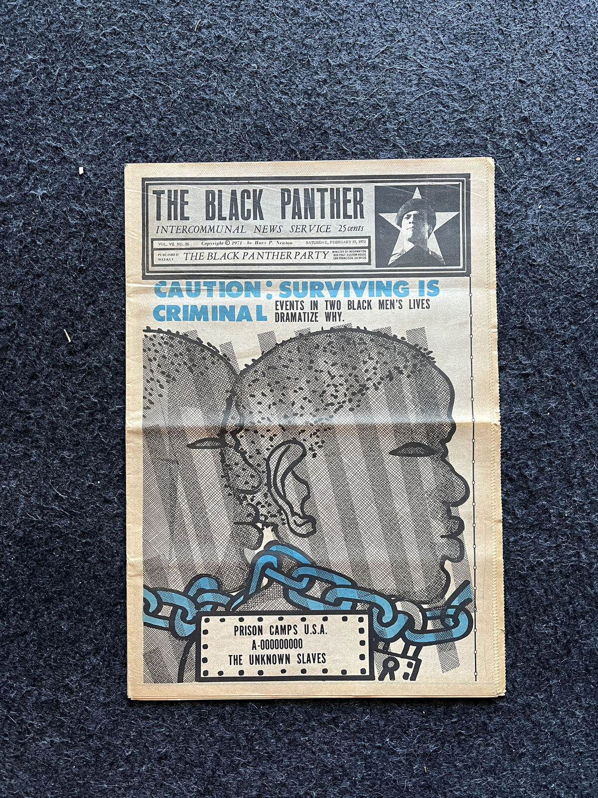 1971 Black Panther Political Party, Restorative Justice Black Excellence, Civil