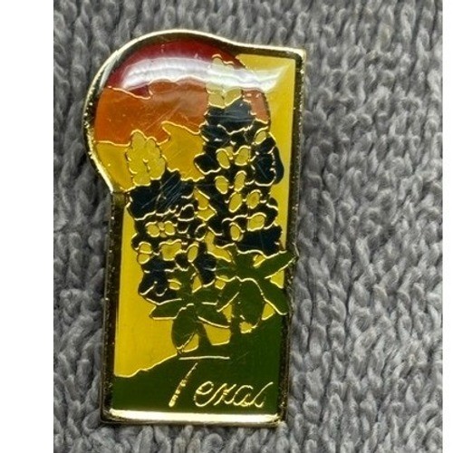 Vintage Texas Bluebonnet Enamel Souvenir Lapel Hat Pin State Flower Sunset Vintage Texas Bluebonnet Enamel Souvenir Lapel Hat Pin State Flower Sunset