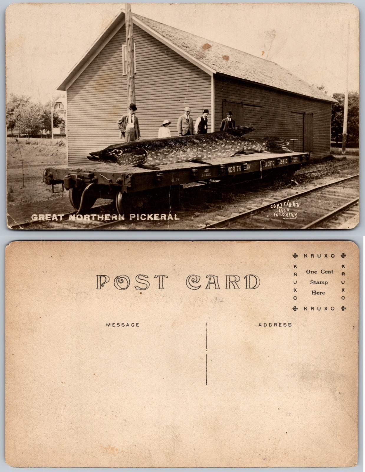 Antique 1909 Exaggeration Postcard Giant Great Northern Pickerel Fish Railroad Antique 1909 Exaggeration Postcard Giant Great Northern Pickerel Fish Railroad