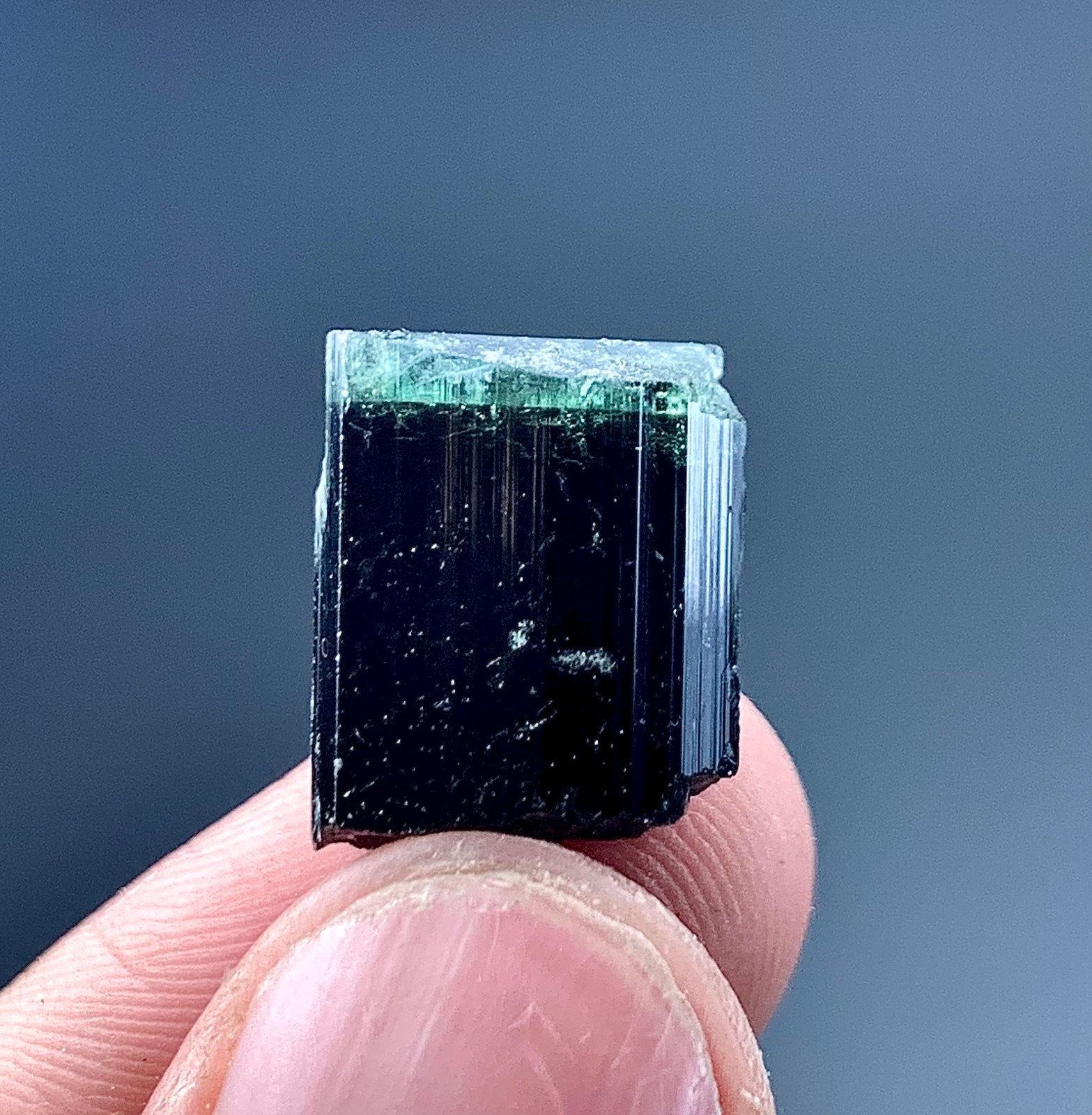 24 Carat Blue Cap Tourmaline Crystal Specimen From Afghanistan 24 Carat Blue Cap Tourmaline Crystal Specimen From Afghanistan