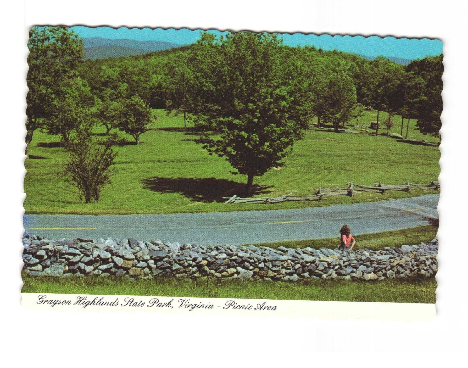 Grayson Highlands State Park VA picnic area vintage postcard unposted Grayson Highlands State Park VA picnic area vintage postcard unposted