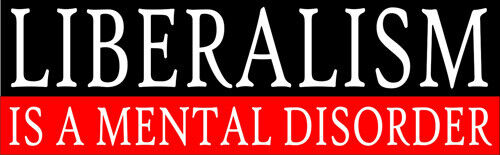 Liberalism is a Mental Disorder Conservative Funny Bumper Sticker Decal 065