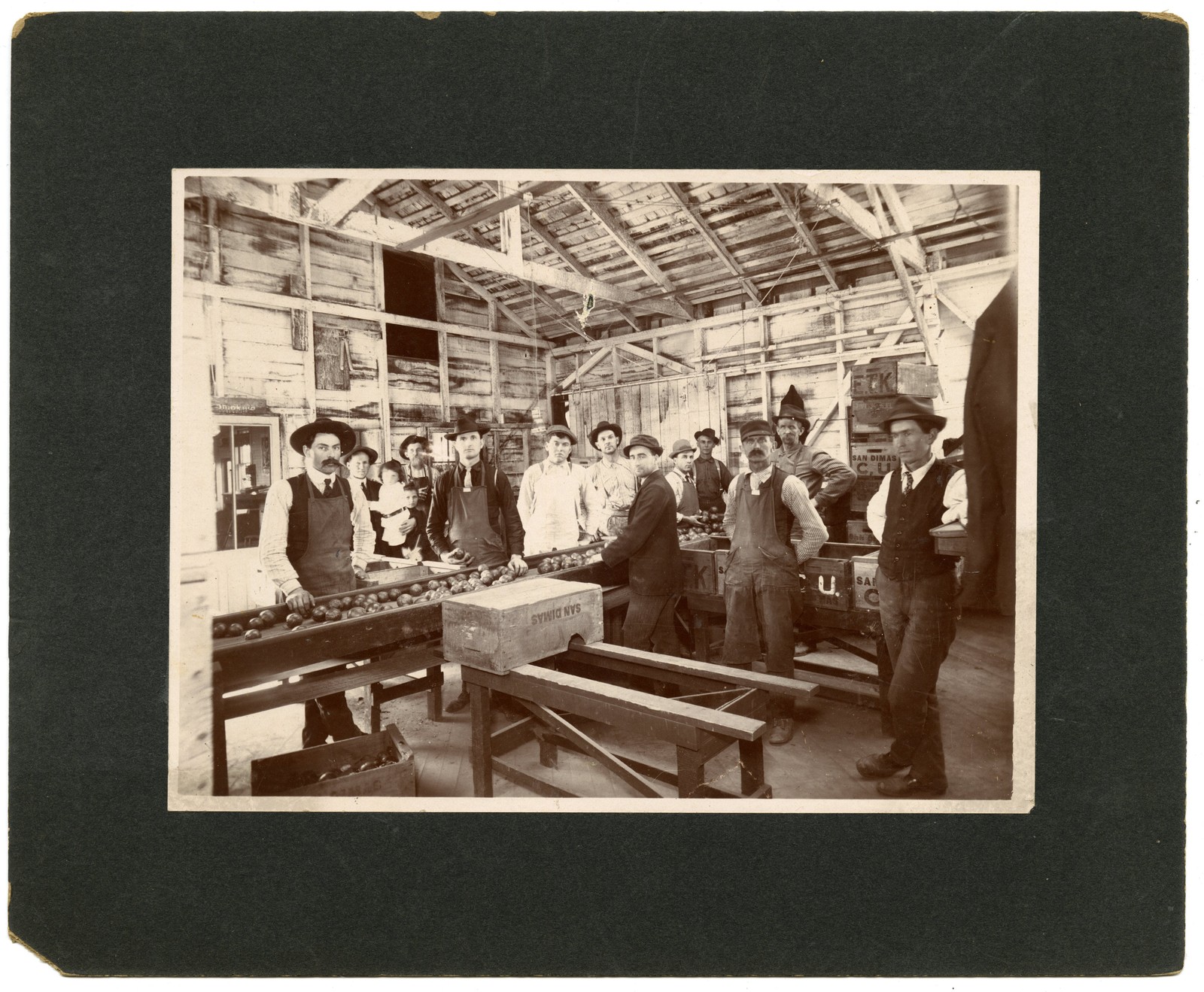 Trio of 1910s Photos of Industrial Orange Packing House, San Dimas, California Trio of 1910s Photos of Industrial Orange Packing House, San Dimas, California