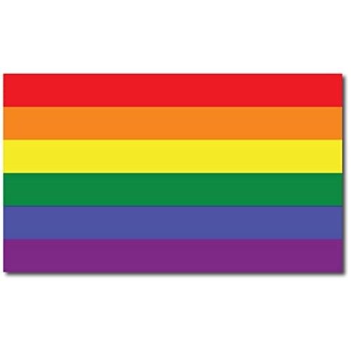 Gay Pride LGBTQ Rainbow Flag Car Magnet Decal, 7x12 Inches, in Support of LGBTQ