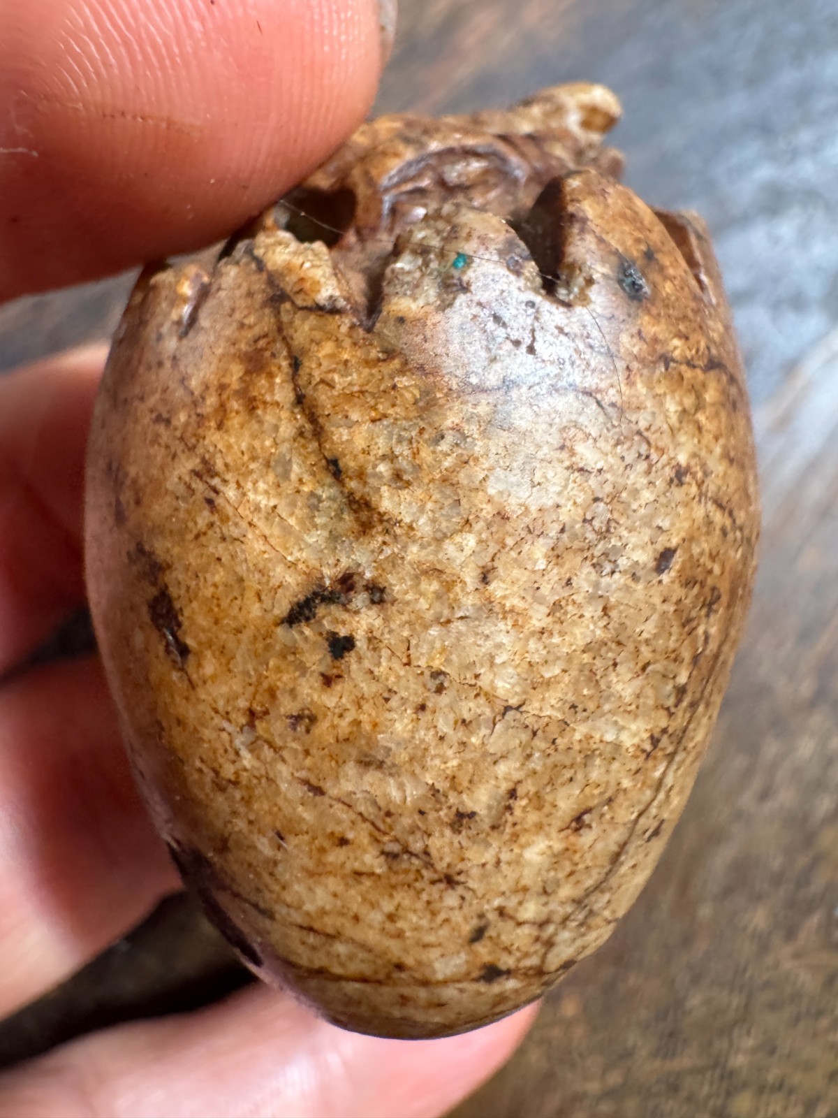 Old Hand Carved Jade Egg Hatching Creature Calcified Antique Stone Estate Old Hand Carved Jade Egg Hatching Creature Calcified Antique Stone Estate
