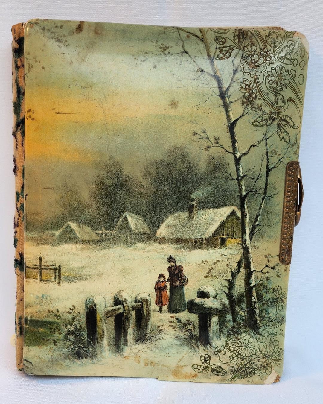 ANTIQUE c.1800's CELLULOID VICTORIAN PHOTO ALBUM No Photos Damaged but Intact