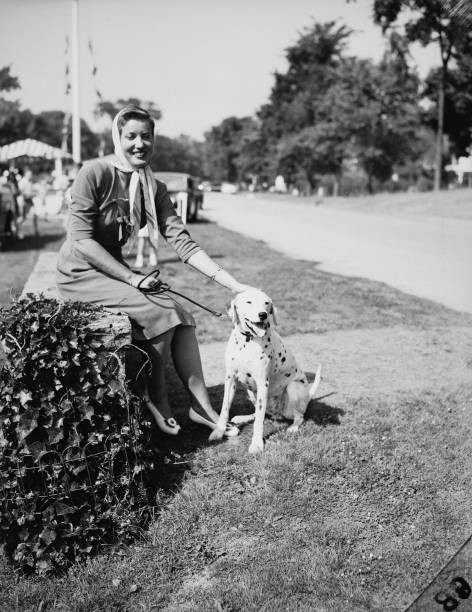 Eccentric American model singer Edith Bouvier Beale sits a low wal- Old Photo Eccentric American model singer Edith Bouvier Beale sits a low wal- Old Photo