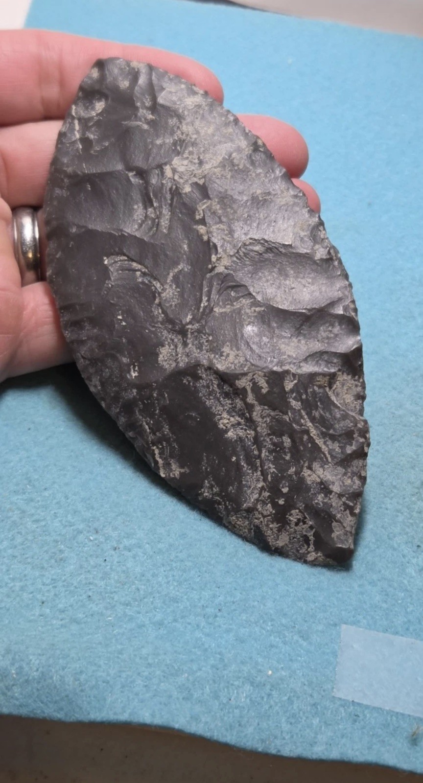 Ben Stermer COA Beautiful Huge Archaic Bipointed Blade 6000-3000BC Ben Stermer COA Beautiful Huge Archaic Bipointed Blade 6000-3000BC