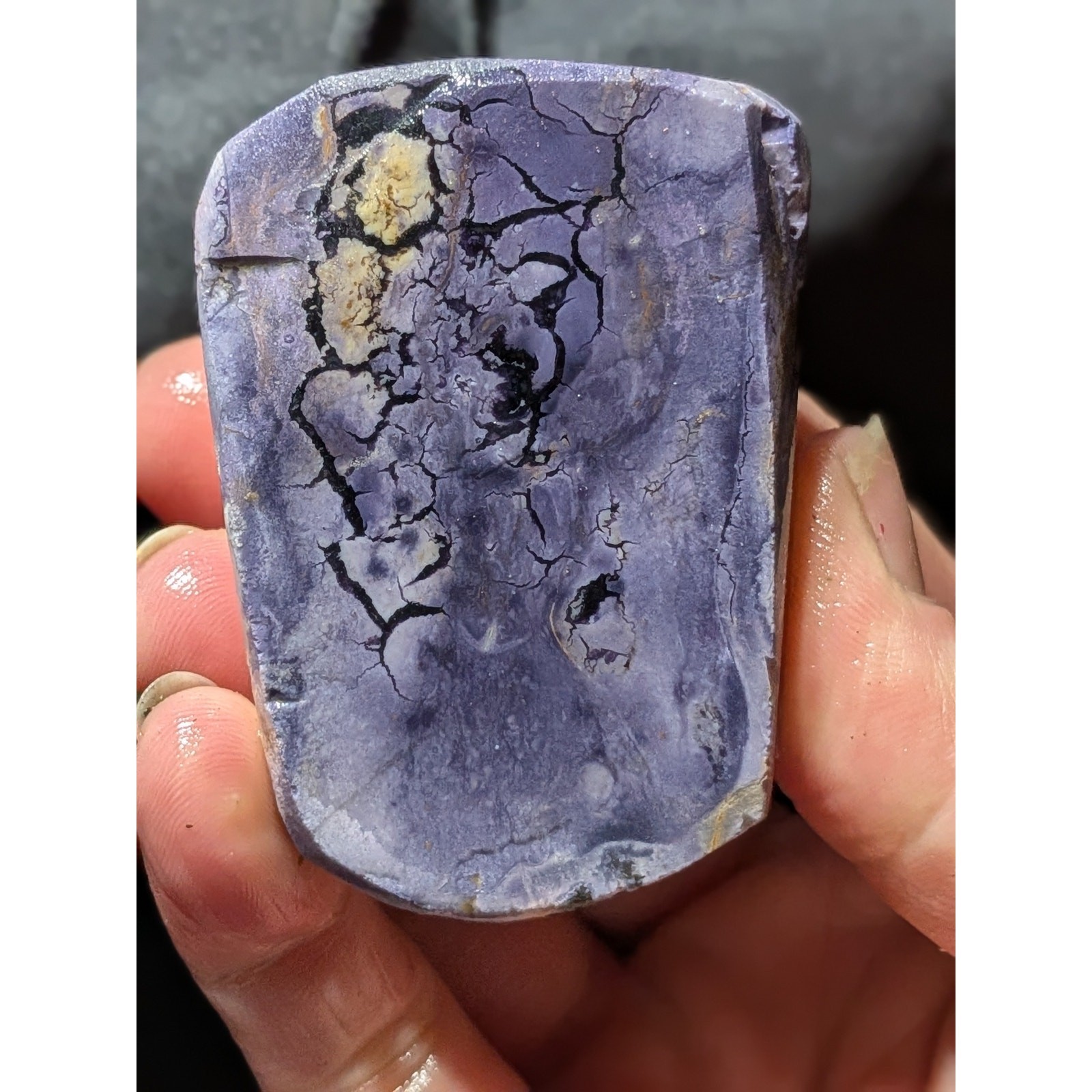 Tiffany Stone Specimen Semi Cut Specimen (5oz)
