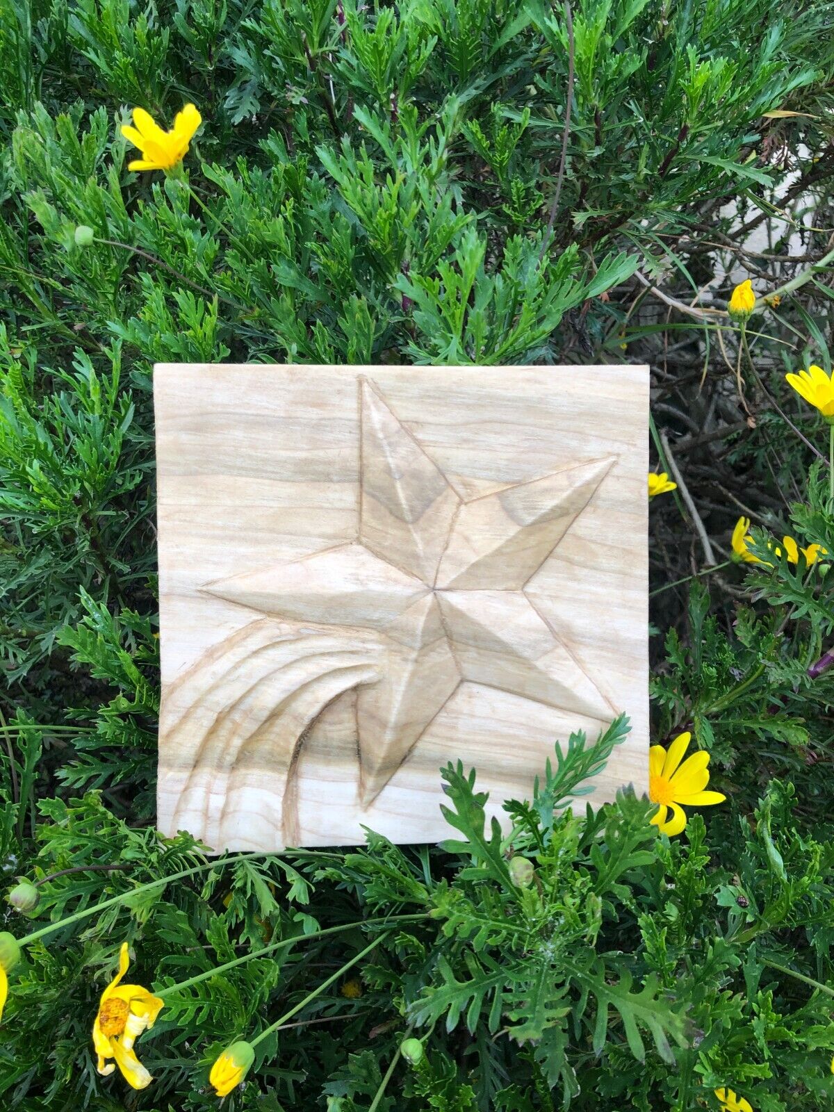 Wooden Hand Carved Decorative Shooting Star Plaque 