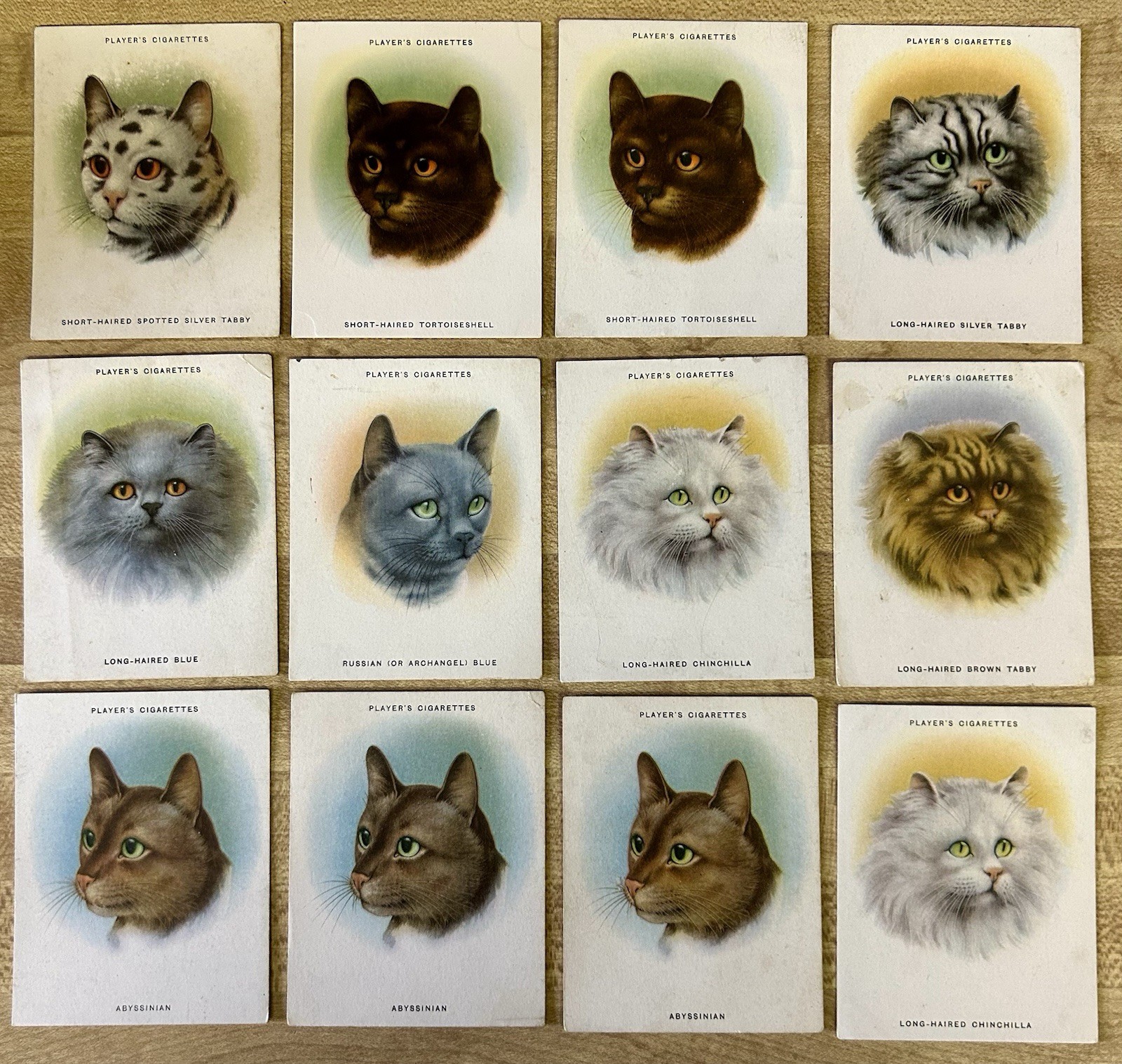 1936 John Player Cats Large Cards Partial Set 12 Cards 1936 John Player Cats Large Cards Partial Set 12 Cards