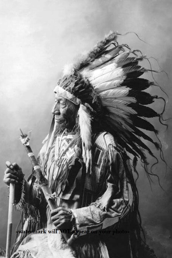 Chief Blue Horse PHOTO Oglala Lakota Native American Indian Portrait 1900