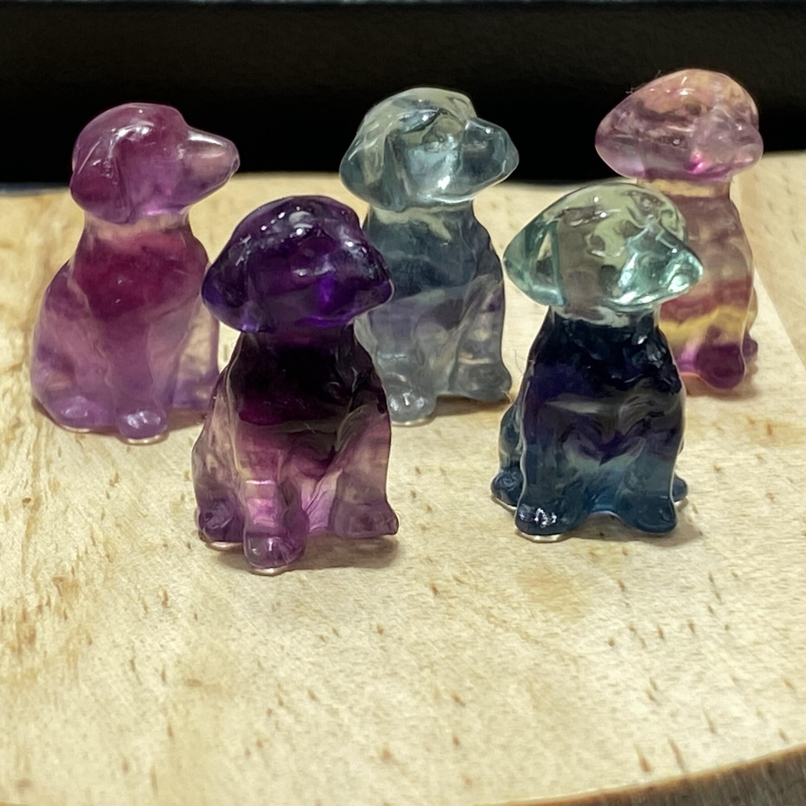 5pcs Natural fluorite carved mini dog skull quartz crystal reiki healing 5pcs Natural fluorite carved mini dog skull quartz crystal reiki healing