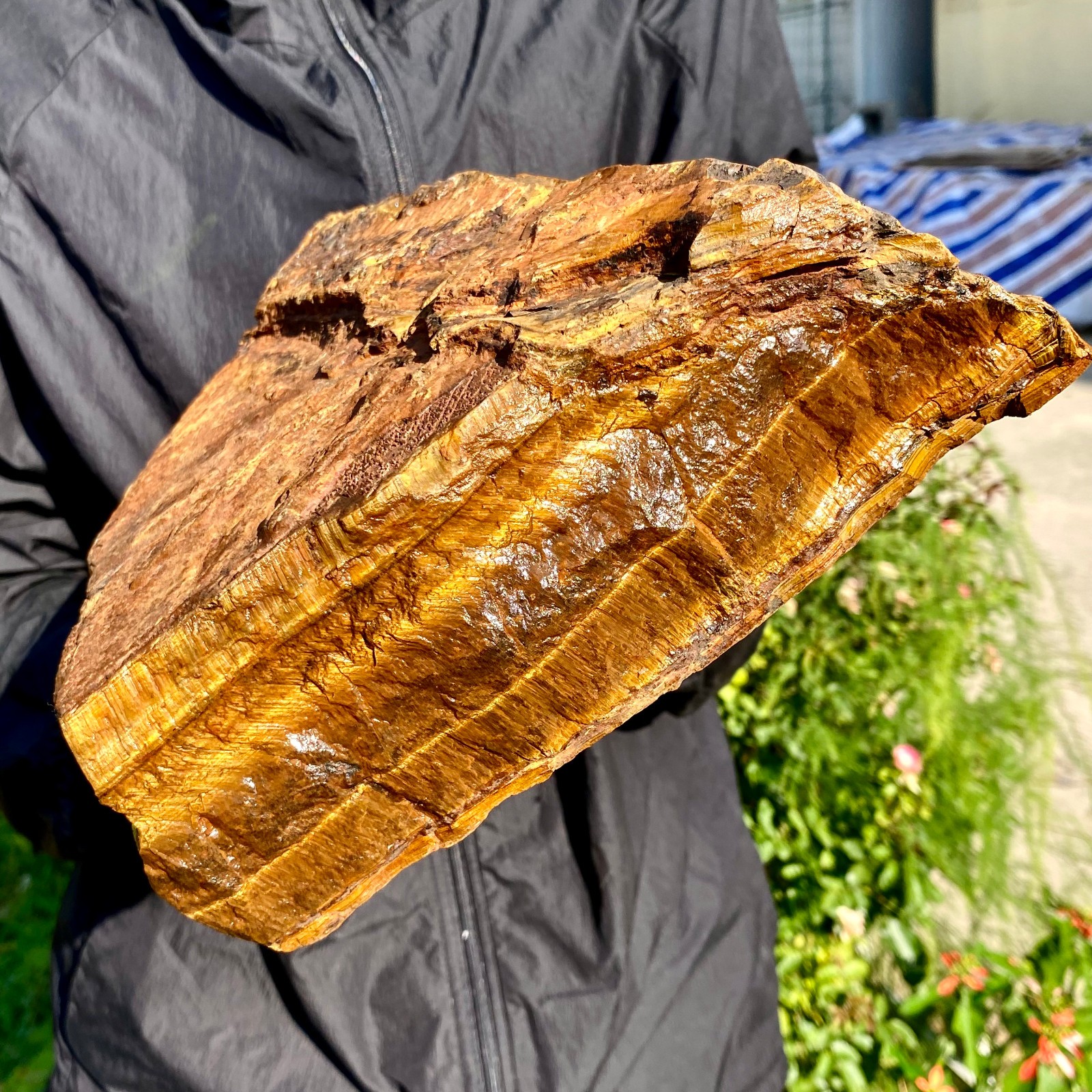12.43LB Natural tiger's Eye rough raw stone rock specimrn madagescar 12.43LB Natural tiger's Eye rough raw stone rock specimrn madagescar