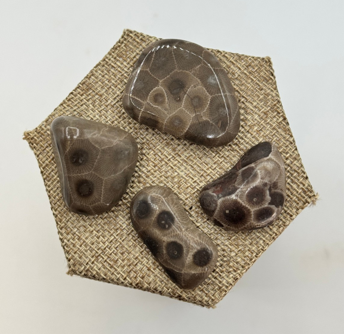 A BEAUTIFUL SET OF 4 POLISHED PETOSKEY STONES - BELOW RETAIL A BEAUTIFUL SET OF 4 POLISHED PETOSKEY STONES - BELOW RETAIL