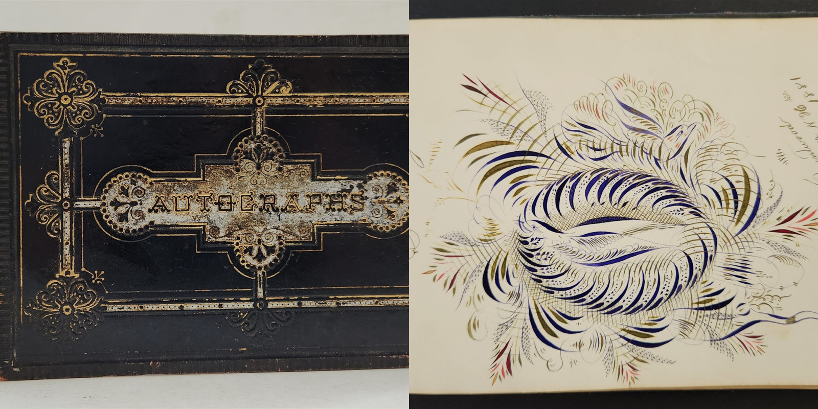 1878 antique AUTOGRAPH ALBUM new hampshire SPENCERIAN BIRD handwritten book