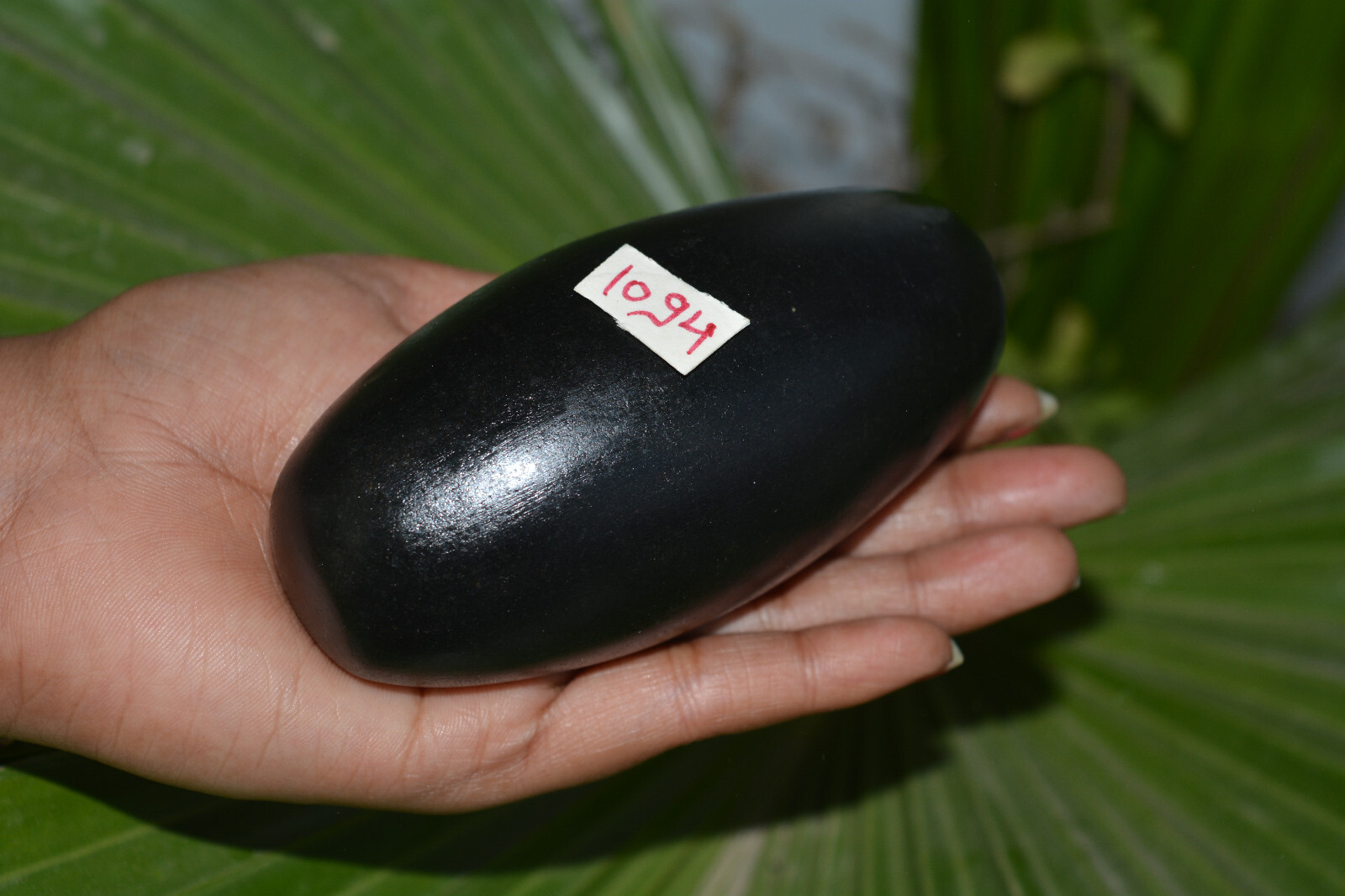 4" Shiva Lingam /Narmada River / Shiva Lingam Narmada River Stone /Shiva Lingham 4" Shiva Lingam /Narmada River / Shiva Lingam Narmada River Stone /Shiva Lingham