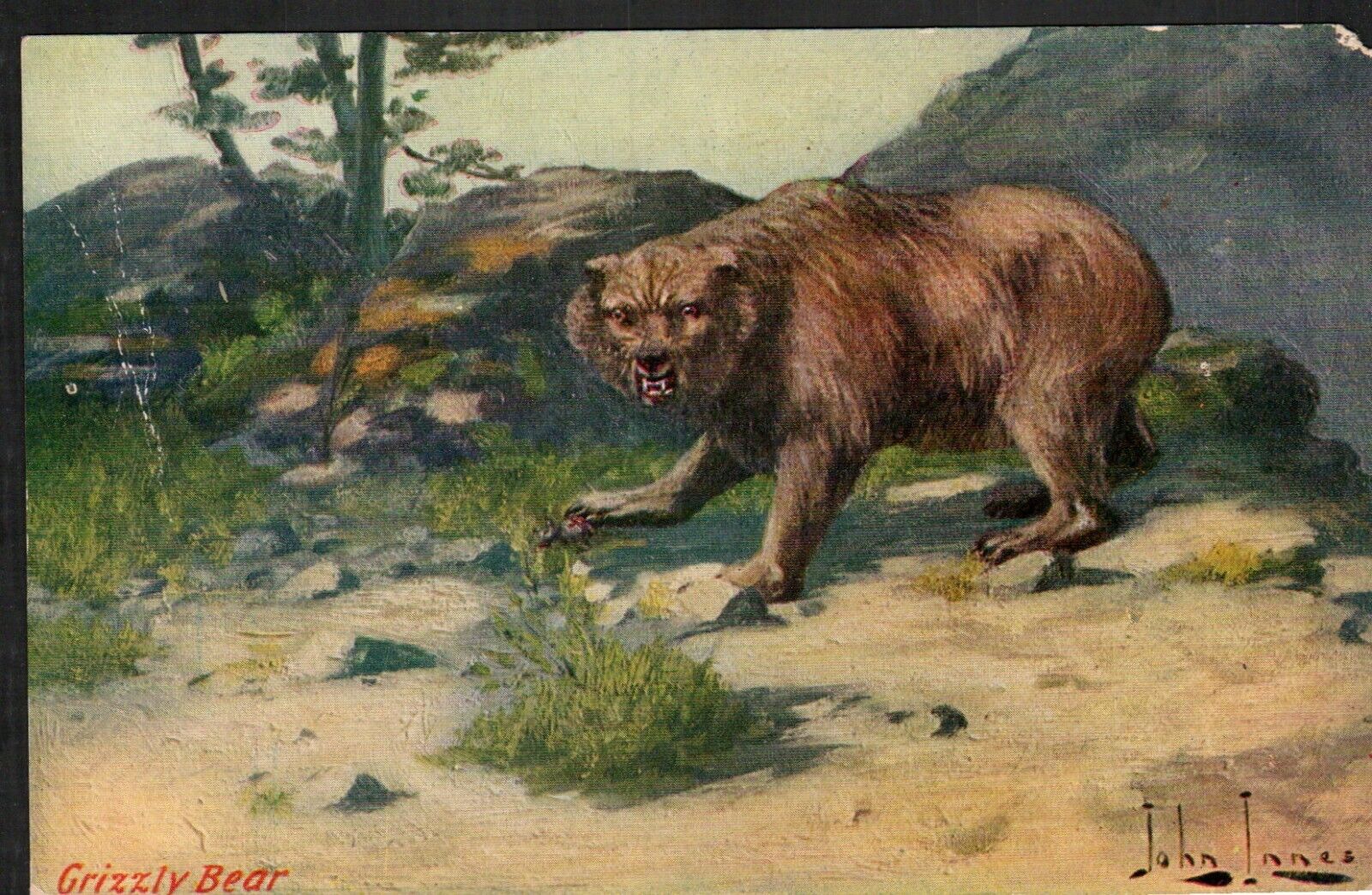 Antique Old Postcard Grizzly Bear  TROILENE Western Artist John Innes Signed