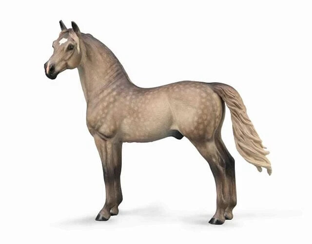 CollectA NIP * Morgan Stallion - Silver Grulla * 88979 Breyer Model Horse Figure CollectA NIP * Morgan Stallion - Silver Grulla * 88979 Breyer Model Horse Figure