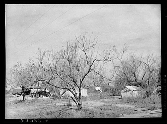 Photo:Harlingen Texas 1939 Migrant Camp White Migrants in Mesquite Texas