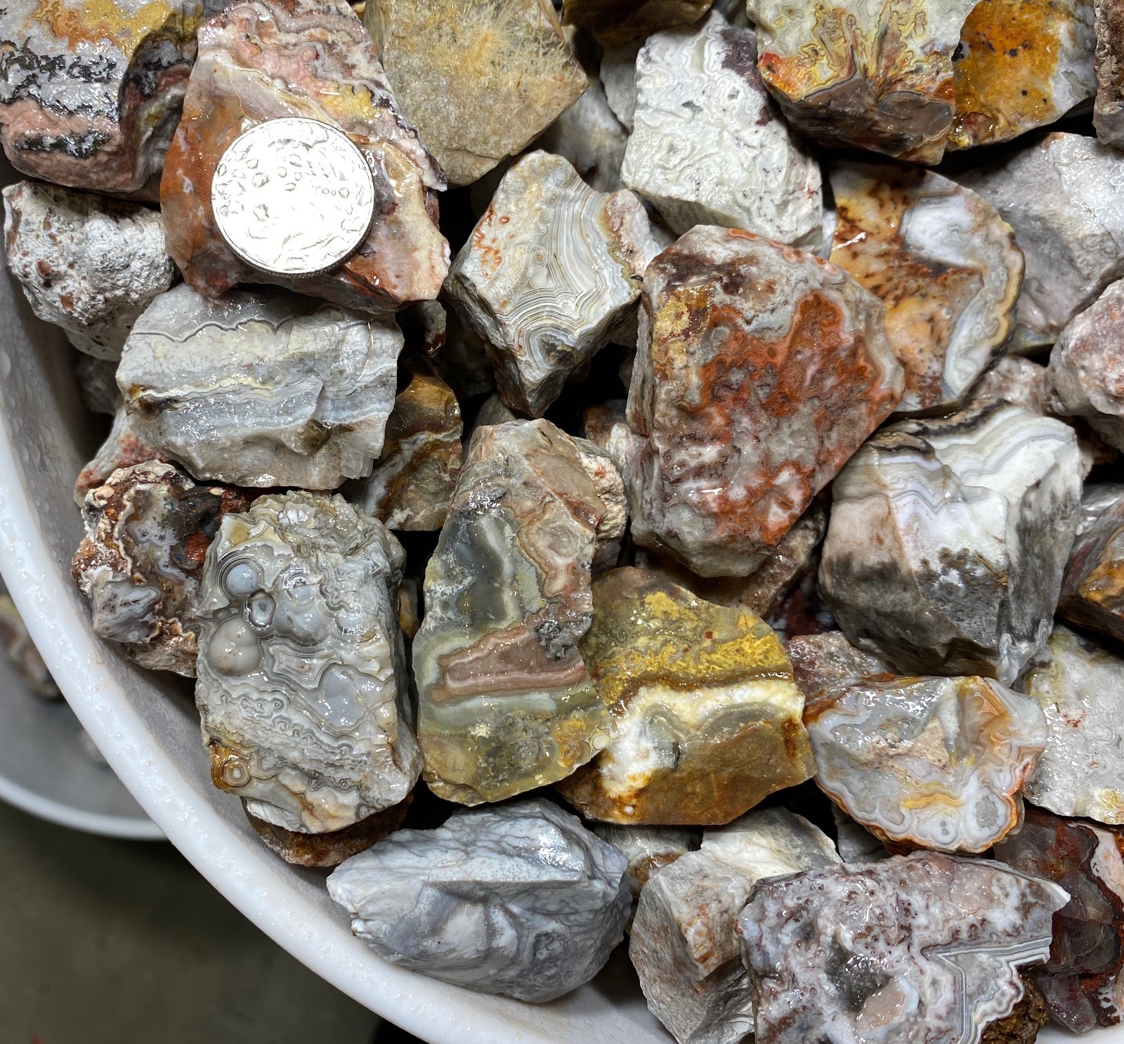 Mexican Crazy Lace Agates - 5lb lot Tumbling Mexican Crazy Lace Agates - 5lb lot Tumbling
