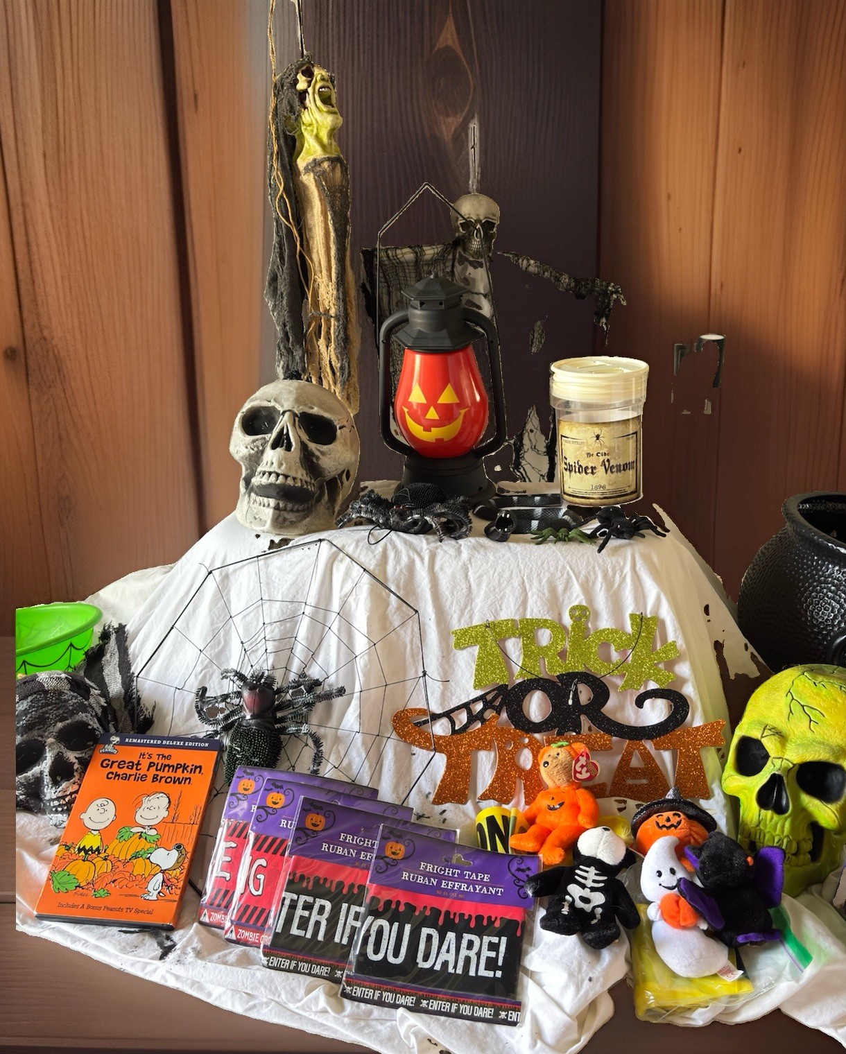 Halloween Decor Lot Rare All Pieces Includes Charlie Brown DVD And TY Halloween Halloween Decor Lot Rare All Pieces Includes Charlie Brown DVD And TY Halloween