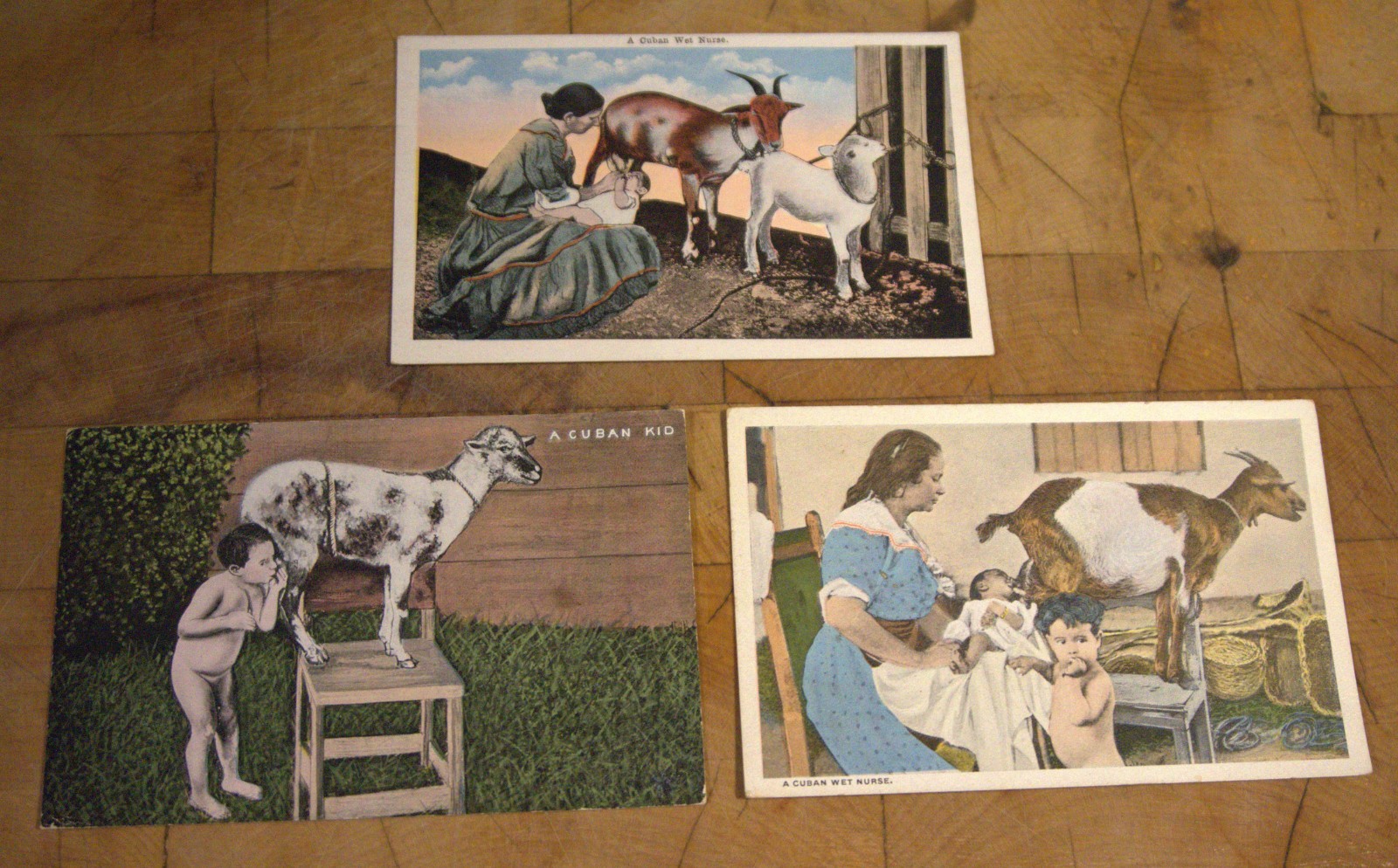 Lot of 3 Cuba Cuban Wet Nurse Goats Postcards Old Vintage Card Souvenir Lot of 3 Cuba Cuban Wet Nurse Goats Postcards Old Vintage Card Souvenir