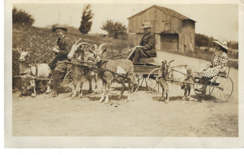 1913 RPPC Goat Cart Procession Postcard Corfu Cowlesville NY Vintage Americana 1913 RPPC Goat Cart Procession Postcard Corfu Cowlesville NY Vintage Americana