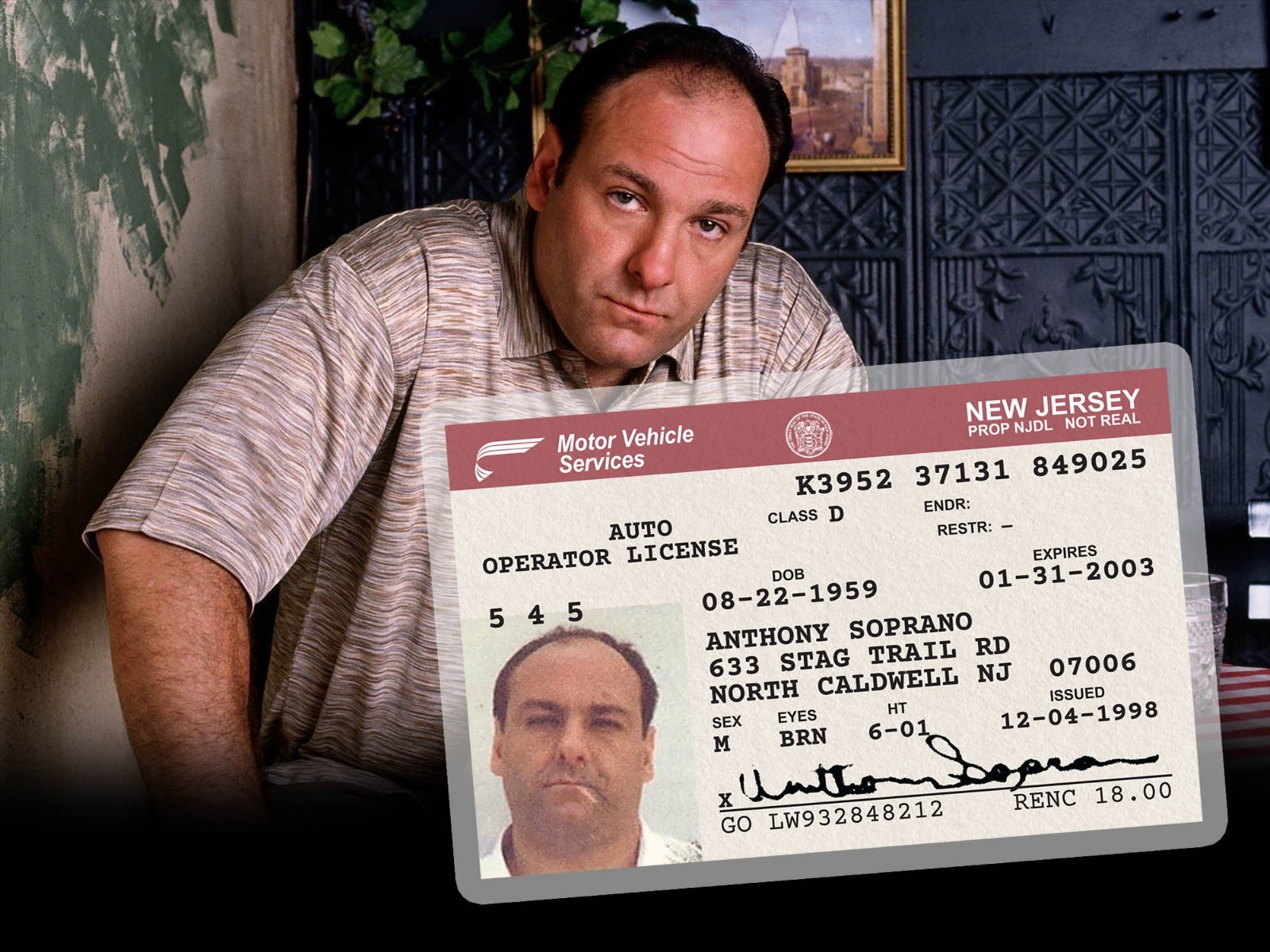TONY SOPRANO ID CARD - Sopranos New Jersey NJ Drivers License - James Gandolfini TONY SOPRANO ID CARD - Sopranos New Jersey NJ Drivers License - James Gandolfini