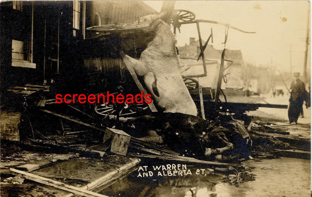 1913 RPPC PHOTO Dayton Ohio Flood "DEAD WHITE HORSE AT WARREN & ALBERTA ST." VG 1913 RPPC PHOTO Dayton Ohio Flood "DEAD WHITE HORSE AT WARREN & ALBERTA ST." VG
