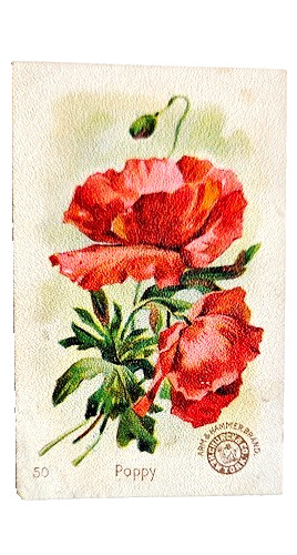 1898 J16  #50 Poppy, 2nd we have, New Series Beautiful Flowers, Arm & Hammer