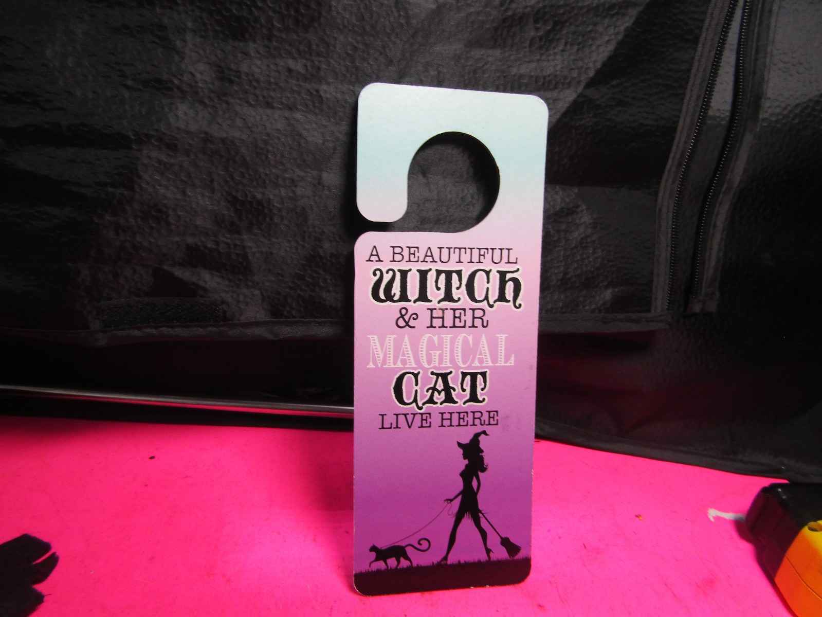 A Beautiful Witch & Her Magical Cat Live Here Halloween Door Hanger FREE SHPPING