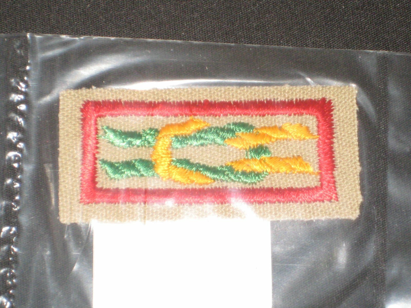 James E. West Award Knot, plastic gauze back