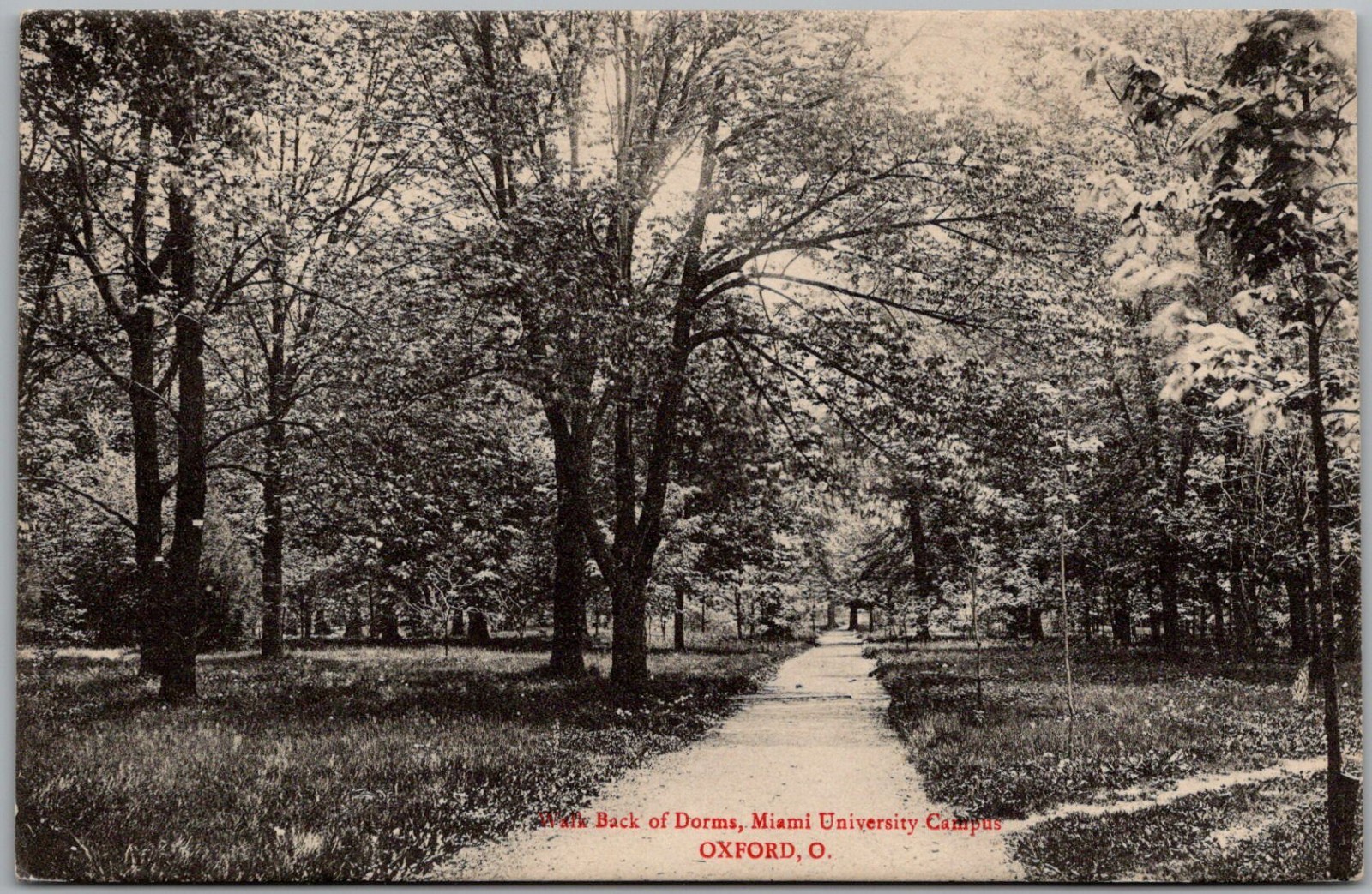 Postcard Walk Back of Dorms; Oxford, Ohio; Miami University Campus ML Postcard Walk Back of Dorms; Oxford, Ohio; Miami University Campus ML