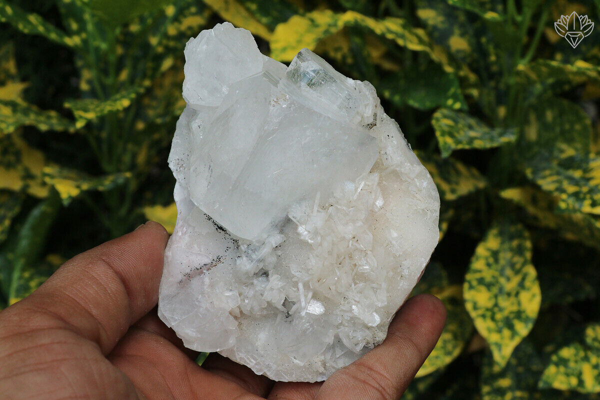 300 gm Apophyllite Minerals Specimen Indian Natural Cluster Home Decor Stone