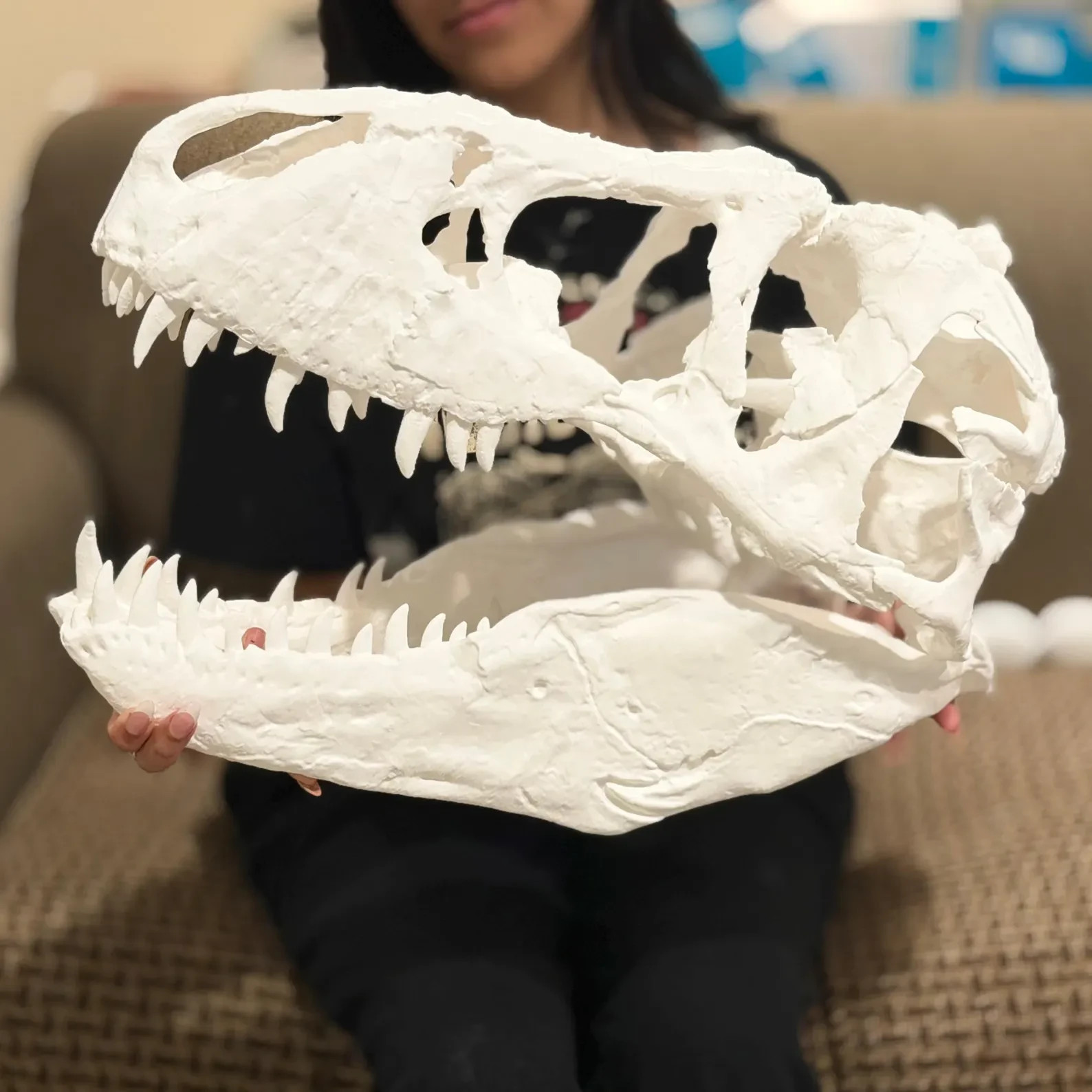 T-Rex Skull Replica 3D Printed Dinosaur Fossil Model Home Office Decor Gift T-Rex Skull Replica 3D Printed Dinosaur Fossil Model Home Office Decor Gift