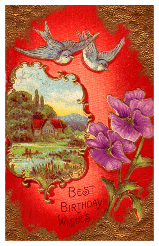 C.1909 Vintage Postcard Birthday Wishes Conotton Ohio Collectible Ephemera