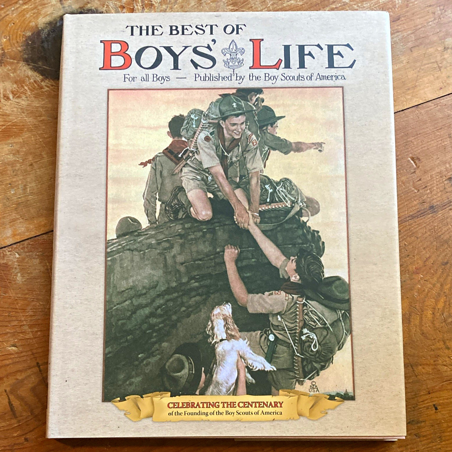 Boy Scouts The Best of Boys' Life: Celebrating the Centenary (2010) Boy Scouts The Best of Boys' Life: Celebrating the Centenary (2010)
