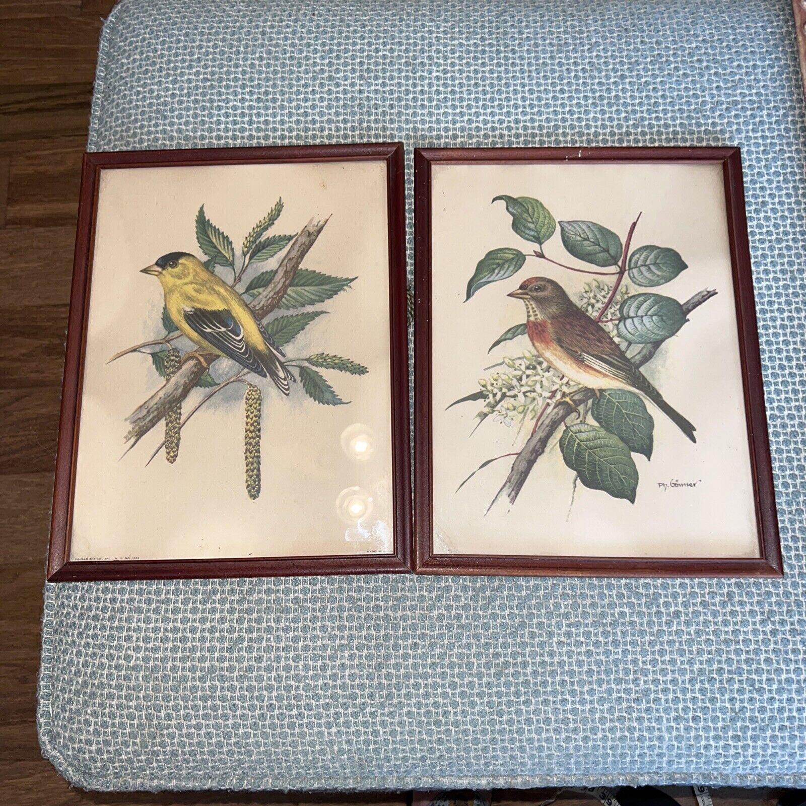 2 Vintage Ornithology 1958 John Murr & PH Gommer Framed Bird Prints Germany